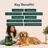 The VLM™ Chews